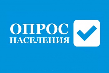 Более 3 тысяч горожан уже приняли участие в опросе на тему животных без владельцев