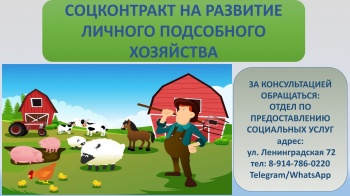 Горожанам предлагают заключить соцконтракт на развитие подсобного хозяйства